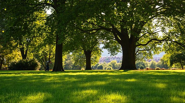 Coût de l'assurance décennale des paysagistes : guide pratique à suivre